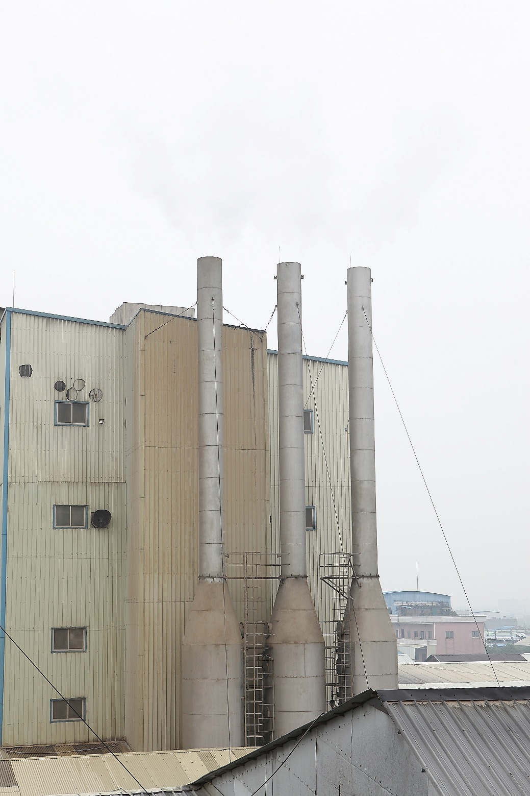 廣東旺海飼料實業有限公司